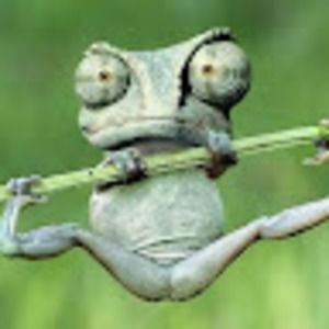 Meet your Posher, Noel